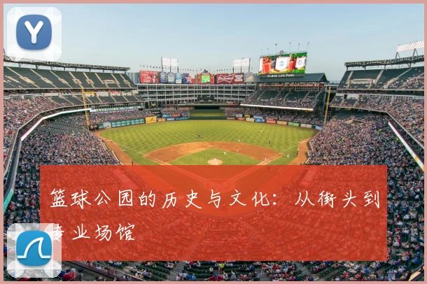篮球公园的历史与文化:从街头到专业场馆