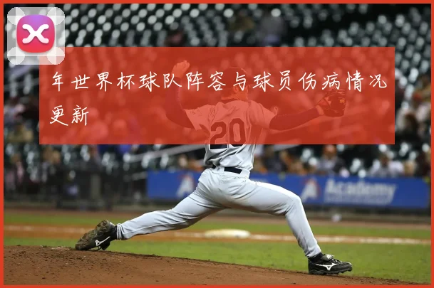 年世界杯球队阵容与球员伤病情况更新