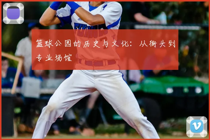 篮球公园的历史与文化:从街头到专业场馆